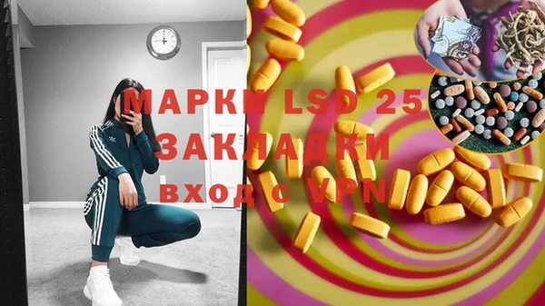 стафф Нефтегорск