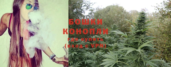 стафф Нефтегорск