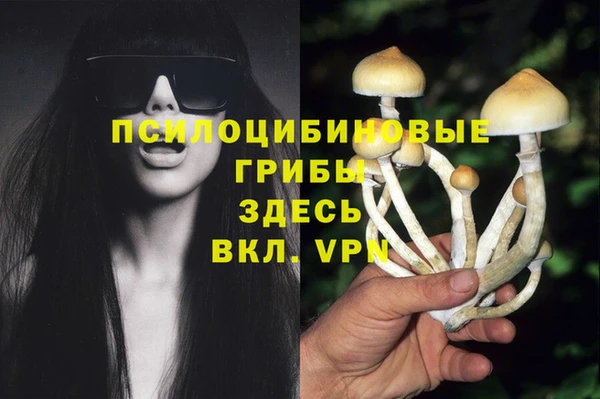 а пвп мука Новодвинск