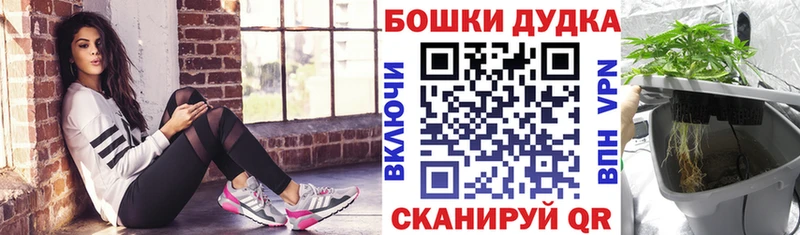 Конопля OG Kush сколько стоит Олонец
